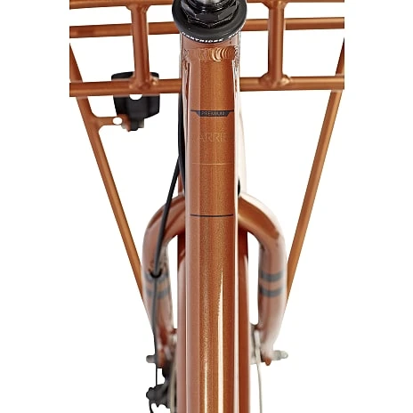 SCO Premium Carrier Damecykel 28" 7 Udvendige Gear 2022 - Brun 3 SCO Premium Carrier Damecykel 28" 7 Udvendige Gear 2022 - Brun - Billede 3