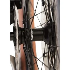 SCO Rebel XT 29" Carbon MTB 48 Cm 12 Udvendige Gear 2021 Mountainbike -Abus Butik 2693063e 2f41 48eb 847f 73ace0616bc8