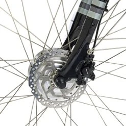 SCO Premium E-Patron Dame Elcykel 28" 7 Gear 13AH 2023 - Mat Blomme -Abus Butik 8a1f77f74f6c394eb5b0cadc8eb9e44f