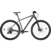 SCO REBEL XT 29" MOUNTAINBIKE 48CM 12 UDVENDIGE GEAR 2022